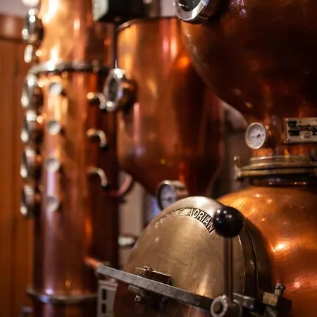 & Restaurant Zum Ochsen -ox Distillery Hösbach