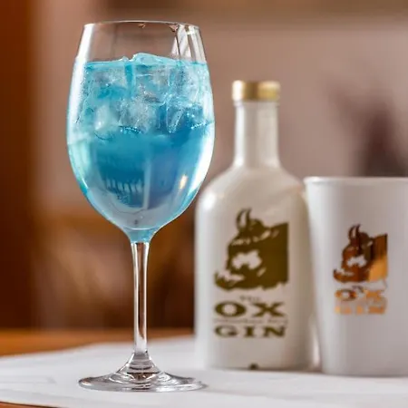 & Restaurant Zum Ochsen -ox Distillery 酒店