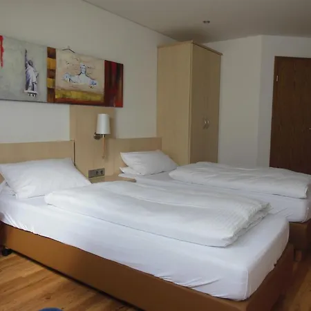 Hotel & Restaurant Zum Ochsen -ox Distillery 3*