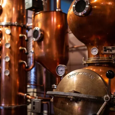 & Restaurant Zum Ochsen -ox Distillery Hotel 3*