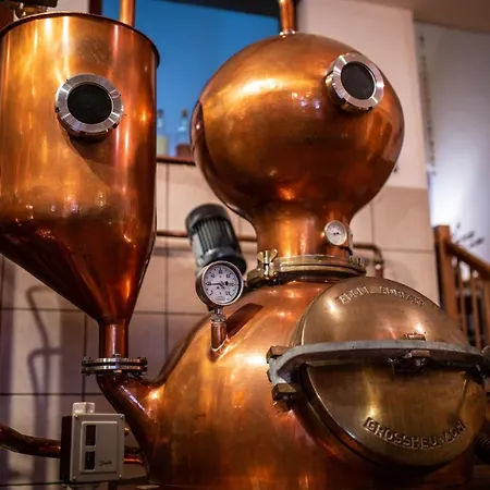 & Restaurant Zum Ochsen -ox Distillery Hotel 3*